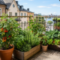Balkongodling för nybörjare: Grönsaker och örter på liten yta